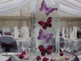 Pillar - Butterfly Ice Sculpture